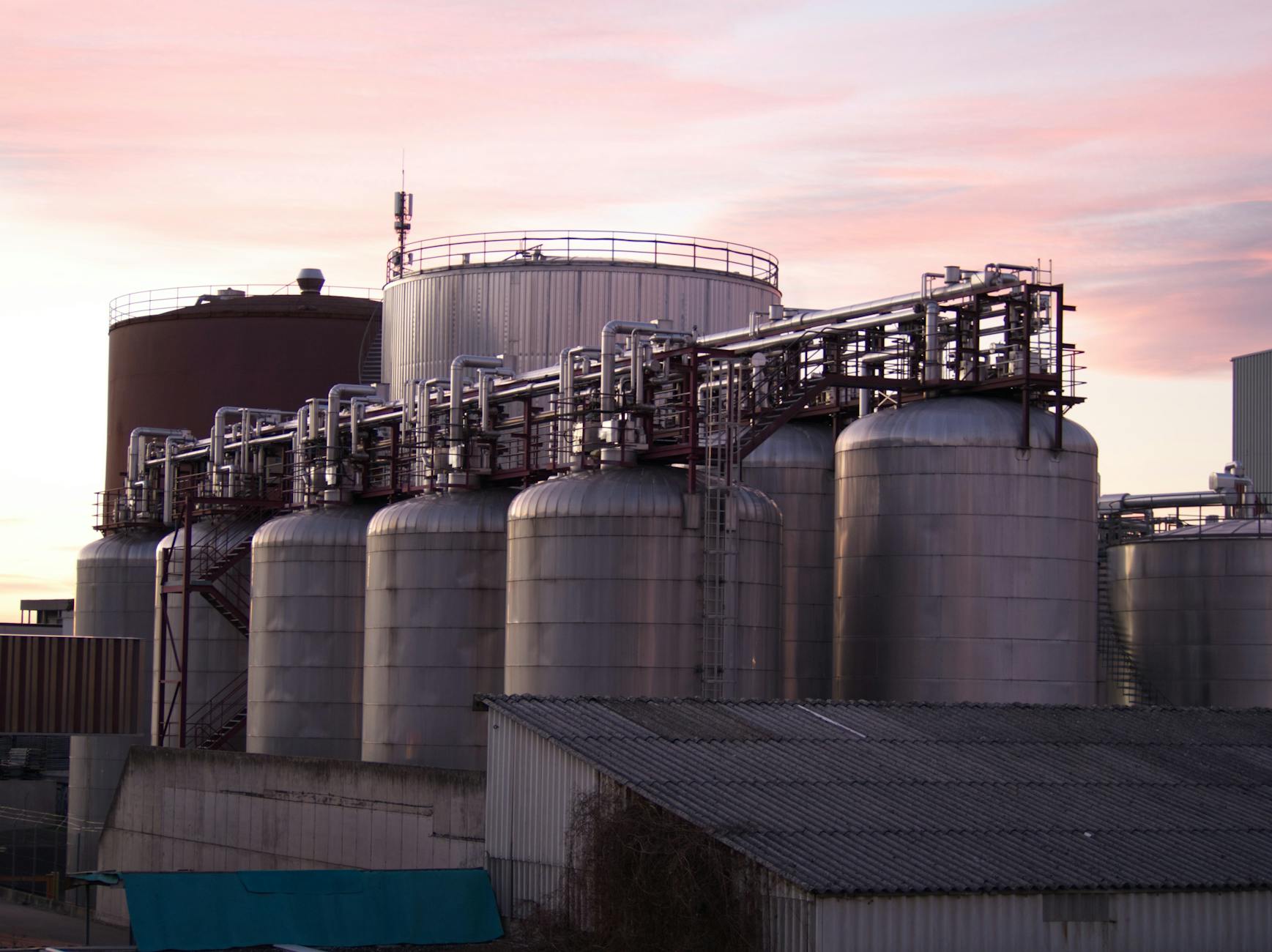 Biofuel refinery